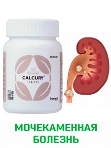 ������� ����� ������������ ������� ������� (Calcury Charak Pharma), 60 ��������